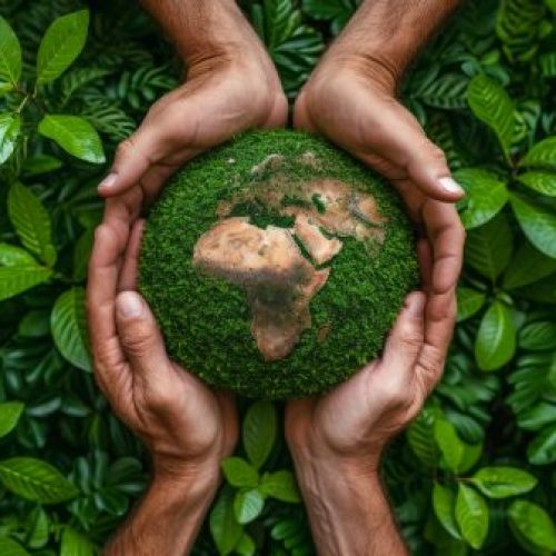 Sustentabilidade nas empresas modernas